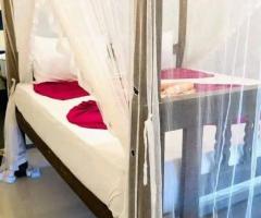 🏡 Mirissa Villas for Sale/Rent | 50 Perches | Ocean Giants Villa - 4