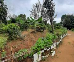 🌳Land for Sale in Kandy! A Golden Investment Opportunity! 💰 - 2