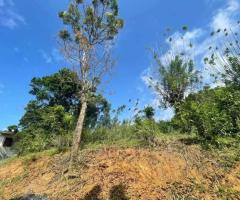 🌳Land for Sale in Kandy! A Golden Investment Opportunity! 💰 - 9