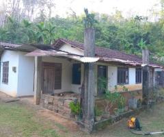 🌳 3-Acre Beautiful Land with a House for Sale in a Tranquil Environment in Galigamuwa