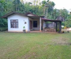 🌳 3-Acre Beautiful Land with a House for Sale in a Tranquil Environment in Galigamuwa - 2
