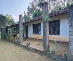 🌳 3-Acre Beautiful Land with a House for Sale in a Tranquil Environment in Galigamuwa - 3