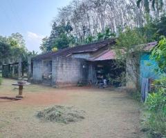 🌳 3-Acre Beautiful Land with a House for Sale in a Tranquil Environment in Galigamuwa - 4