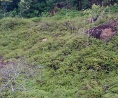 🌳 Massive 400 Perch Land for Sale in Pasyala, Gampaha | Kandy Road Frontage! ✨