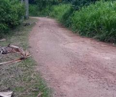 🌳 Massive 400 Perch Land for Sale in Pasyala, Gampaha | Kandy Road Frontage! ✨ - 3