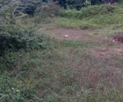 🌳 Massive 400 Perch Land for Sale in Pasyala, Gampaha | Kandy Road Frontage! ✨ - 4
