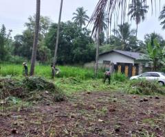 🏞️ A Serene Sanctuary in Giriulla  ✴️