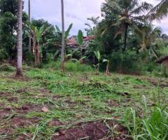 🏞️ A Serene Sanctuary in Giriulla  ✴️ - 2