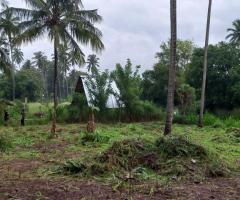 🏞️ A Serene Sanctuary in Giriulla  ✴️ - 3