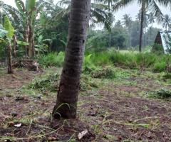 🏞️ A Serene Sanctuary in Giriulla  ✴️ - 4