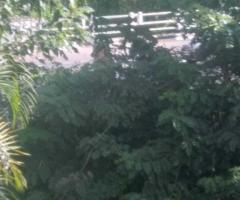 🔥 A Golden Investment! 🔥 Modern Guest House in Kurunegala for Sale! 💰 - 3