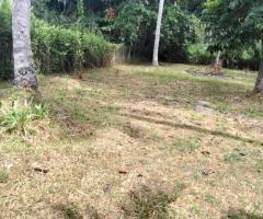 🏡 Dankotuwa, Etiyawala House and Land for Sale - 8