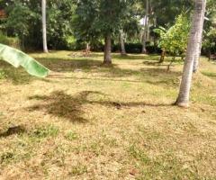 🏡 Dankotuwa, Etiyawala House and Land for Sale - 10