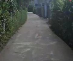 🏡 House for Sale in a Serene Location in Kandy! ✨ - 2