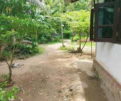 A Dream Home for You! 🌟 A Valuable Property in Ja-Ela, Tudella - 2