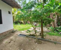 A Dream Home for You! 🌟 A Valuable Property in Ja-Ela, Tudella - 3