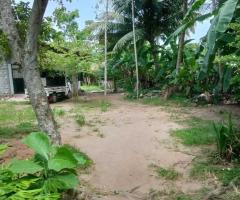 A Dream Home for You! 🌟 A Valuable Property in Ja-Ela, Tudella - 5