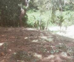 🏡 Land for Urgent Sale & Investment Near Matara City! ✨