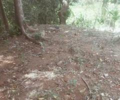 🏡 Land for Urgent Sale & Investment Near Matara City! ✨ - 2