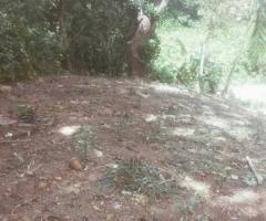 🏡 Land for Urgent Sale & Investment Near Matara City! ✨ - 3