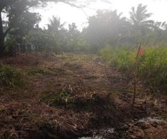 Property for Sale: 33 Perch Land in Kurunegala, Yanthampalawa, Kalahogedara - 2