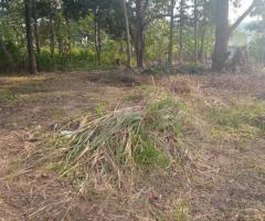Property for Sale: 33 Perch Land in Kurunegala, Yanthampalawa, Kalahogedara - 3