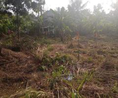 Property for Sale: 33 Perch Land in Kurunegala, Yanthampalawa, Kalahogedara - 4