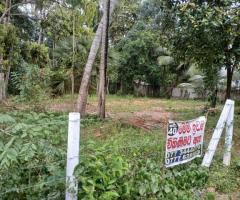 🏕40-Perch Prime Land for Sale in Katana, Negombo! ✨🏡 (Perfect for a Dream Home or Investment!) - 2