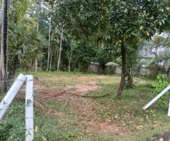 🏕40-Perch Prime Land for Sale in Katana, Negombo! ✨🏡 (Perfect for a Dream Home or Investment!) - 3