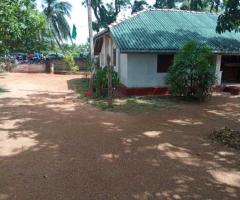 A Golden Investment Opportunity in Anuradhapura! ✨