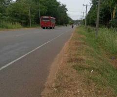 A Golden Investment Opportunity in Anuradhapura! ✨ - 2