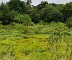 A Golden Investment Opportunity in Anuradhapura! ✨ - 4