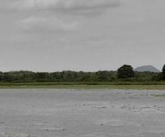 A Golden Investment Opportunity in Anuradhapura! ✨ - 6