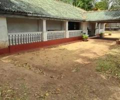 A Golden Investment Opportunity in Anuradhapura! ✨ - 10