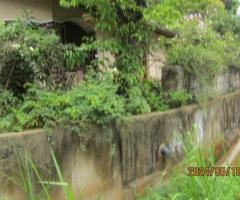 🏡✨ Own a Piece of Paradise in the Scenic Hills of Galaha, Kandy! 🤩⛰️ - 6