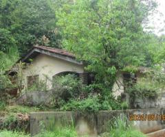 🏡✨ Own a Piece of Paradise in the Scenic Hills of Galaha, Kandy! 🤩⛰️ - 7