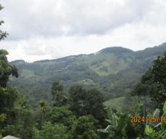 🏡✨ Own a Piece of Paradise in the Scenic Hills of Galaha, Kandy! 🤩⛰️ - 9