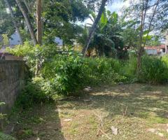 Prime Commercial Land in the Heart of Matara! ❤️‍🔥🏢✨ - 3