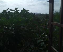 Valuable Investment in a Tranquil Environment! ✨ - 4