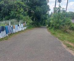🏡 Kosgama Land for Sale | 47 Perches with House - 4