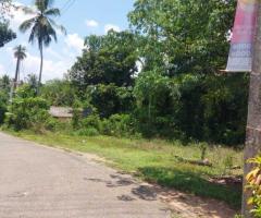 🏡 Kosgama Land for Sale | 47 Perches with House - 7