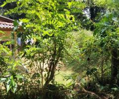 🏡 Kosgama Land for Sale | 47 Perches with House - 9