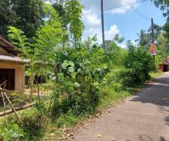 🏡 Kosgama Land for Sale | 47 Perches with House - 10