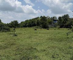 ​🌊Colombo-Kandy Road, Kalgadihena - Serene 96 Perch Land for Sale with Attanagalu Oya Frontage! 🤩