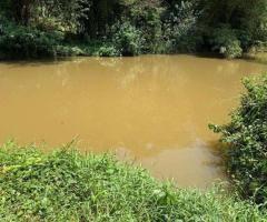 ​🌊Colombo-Kandy Road, Kalgadihena - Serene 96 Perch Land for Sale with Attanagalu Oya Frontage! 🤩 - 9