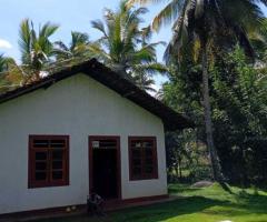 ​🏡🌳 Walasmulla | Nidangoda Alla: Prime Land with a House for Residential and Commercial Purposes! ✨