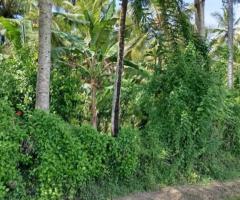 ​🏡🌳 Walasmulla | Nidangoda Alla: Prime Land with a House for Residential and Commercial Purposes! ✨ - 2