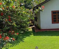 ​🏡🌳 Walasmulla | Nidangoda Alla: Prime Land with a House for Residential and Commercial Purposes! ✨ - 5