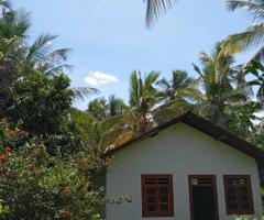 ​🏡🌳 Walasmulla | Nidangoda Alla: Prime Land with a House for Residential and Commercial Purposes! ✨ - 6