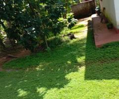 ​🏡🌳 Walasmulla | Nidangoda Alla: Prime Land with a House for Residential and Commercial Purposes! ✨ - 7